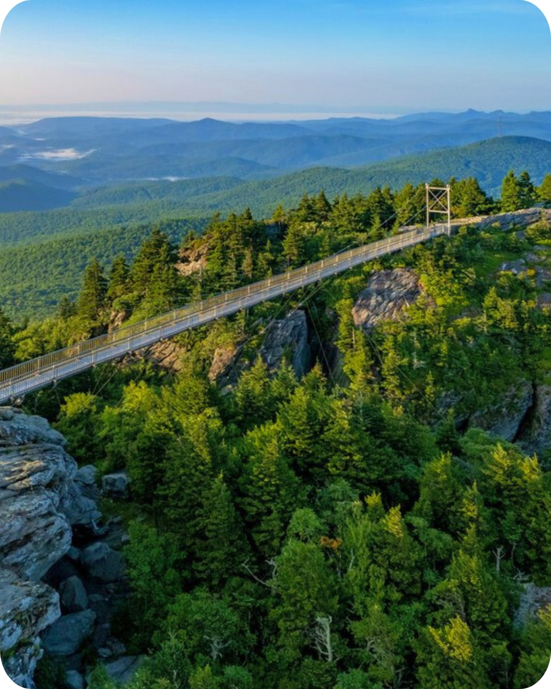 brevard